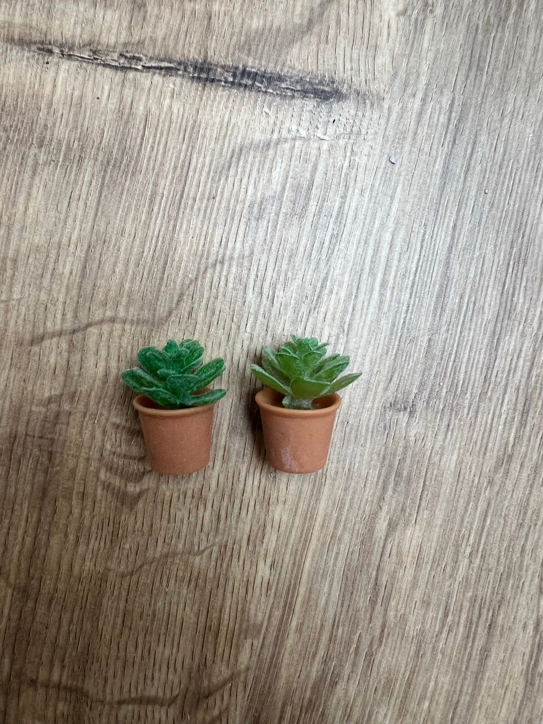 Wichtel Topfpflanzen 2 Stück in Miniatur ca. 2,3 cm groß Pflanzen Blumen Deko Wohnzimmer Grüner Daumen Blumentopf
