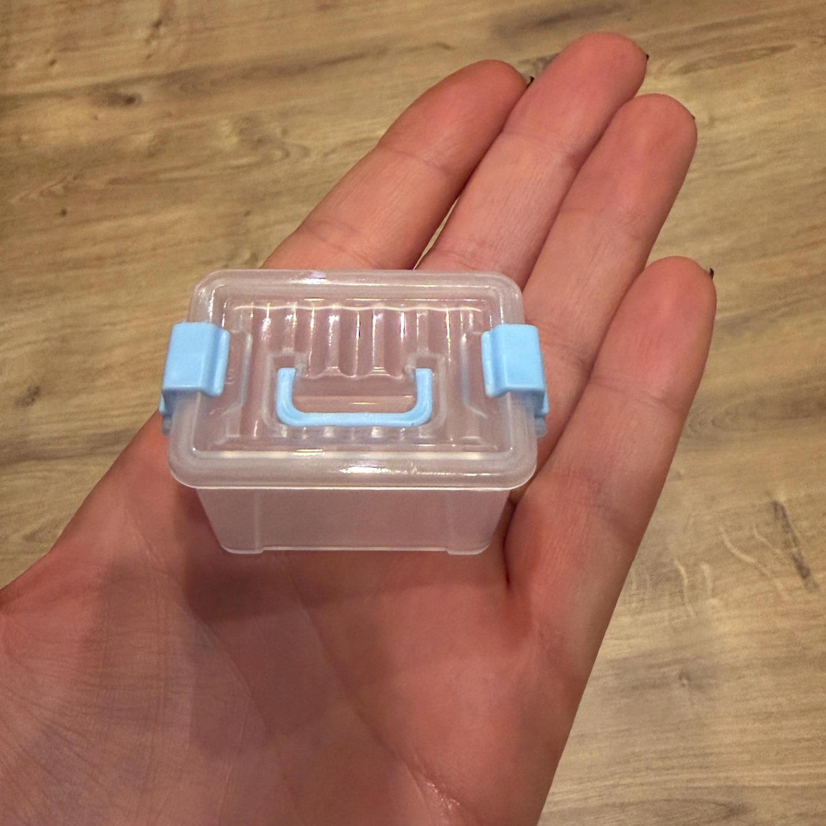 Wichtel Box mit Deckel zum Abnehmen
